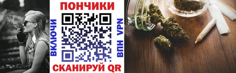 Бошки Шишки THC 21%  ссылка на мегу ТОР  Шатура 
